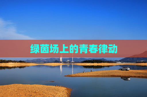 绿茵场上的青春律动