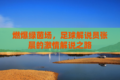 燃爆绿茵场,足球解说员张晨的激情解说之路