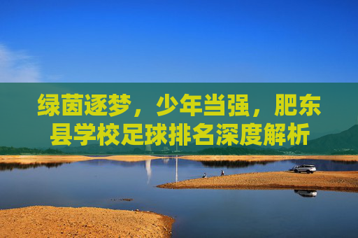 绿茵逐梦，少年当强，肥东县学校足球排名深度解析