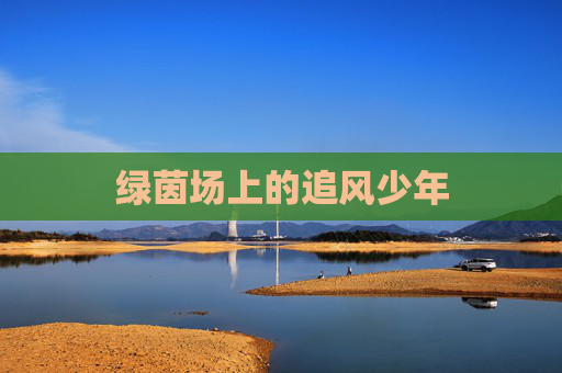 绿茵场上的追风少年