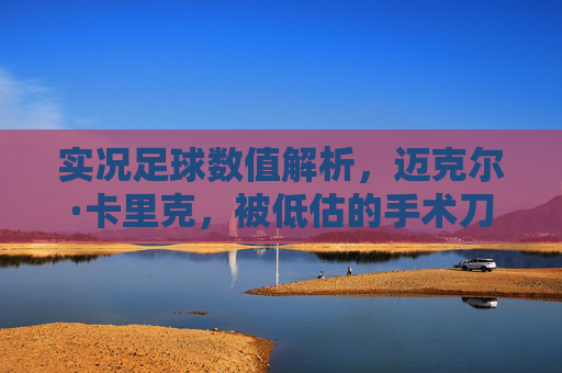 实况足球数值解析,迈克尔·卡里克,被低估的手术刀传球大师