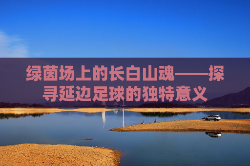绿茵场上的长白山魂——探寻延边足球的独特意义