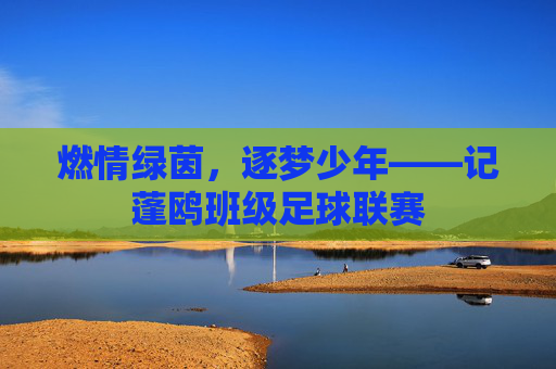 燃情绿茵,逐梦少年——记蓬鸥班级足球联赛