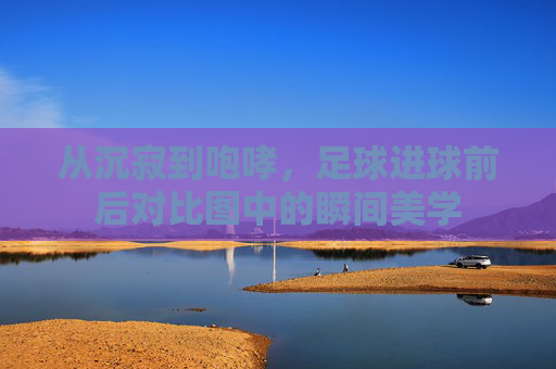 从沉寂到咆哮,足球进球前后对比图中的瞬间美学