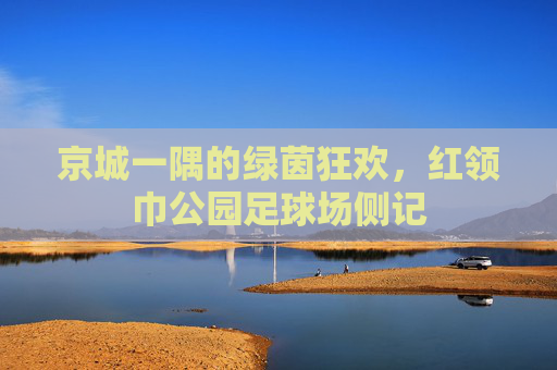 京城一隅的绿茵狂欢,红领巾公园足球场侧记