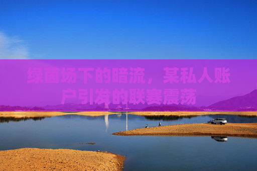 绿茵场下的暗流，某私人账户引发的联赛震荡