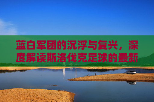 蓝白军团的沉浮与复兴,深度解读斯洛伐克足球的最新世界排名