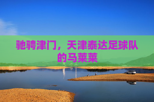 驰骋津门,天津泰达足球队的马莱莱