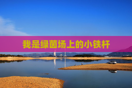我是绿茵场上的小铁杆