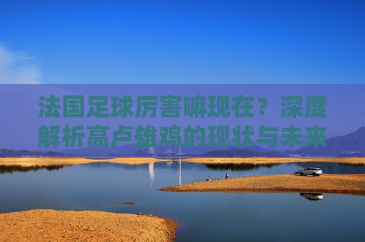 法国足球厉害嘛现在？深度解析高卢雄鸡的现状与未来