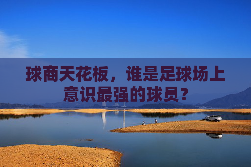 球商天花板,谁是足球场上意识最强的球员?
