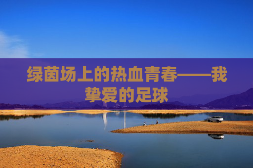 绿茵场上的热血青春——我挚爱的足球