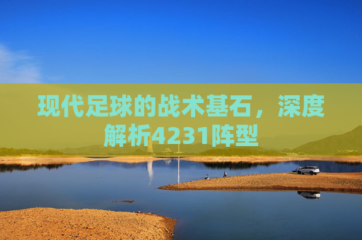 现代足球的战术基石,深度解析4231阵型