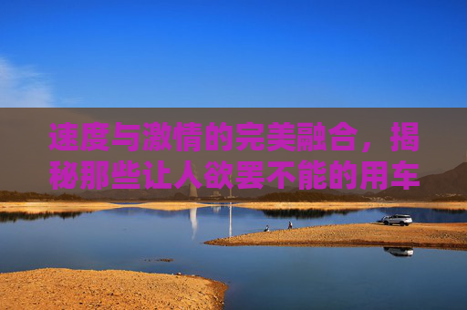 速度与激情的完美融合，揭秘那些让人欲罢不能的用车踢足球的游戏