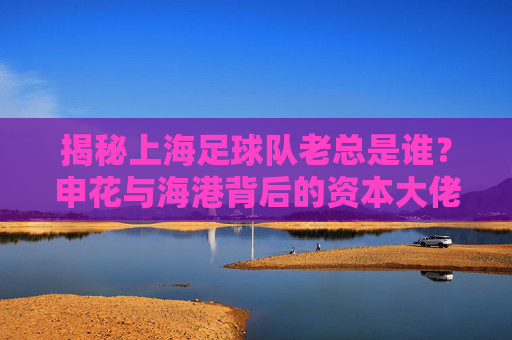 揭秘上海足球队老总是谁?申花与海港背后的资本大佬