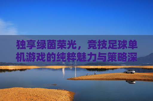 独享绿茵荣光，竞技足球单机游戏的纯粹魅力与策略深度