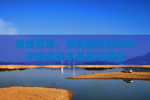 锋线双雄，深度解析前锋与中锋的战术差异与演变