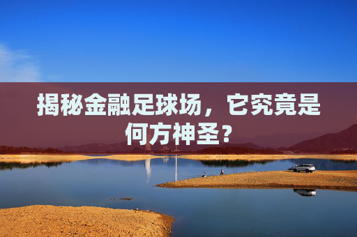 揭秘金融足球场，它究竟是何方神圣？