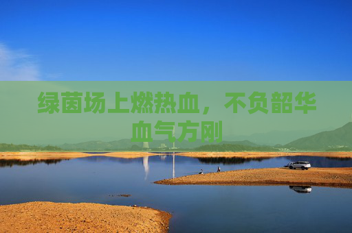 绿茵场上燃热血,不负韶华血气方刚