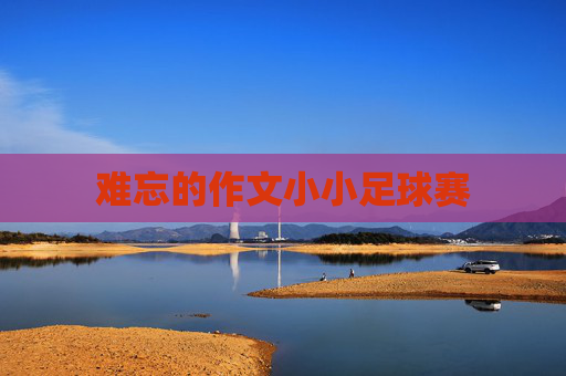 难忘的作文小小足球赛