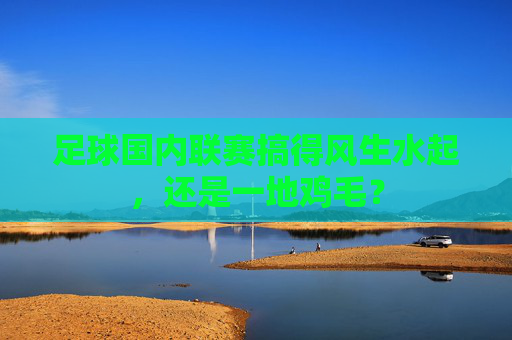 足球国内联赛搞得风生水起，还是一地鸡毛？