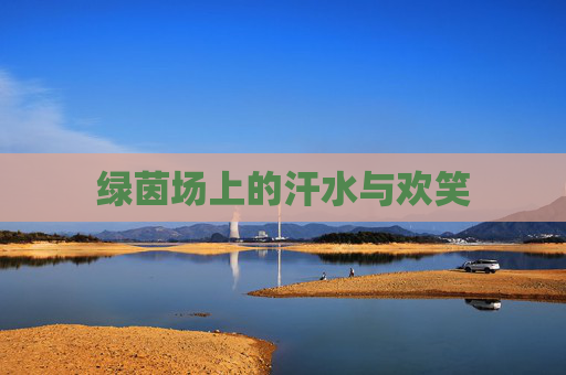 绿茵场上的汗水与欢笑