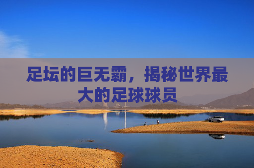 足坛的巨无霸,揭秘世界最大的足球球员