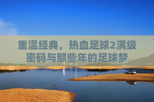 重温经典,热血足球2满级密码与那些年的足球梦