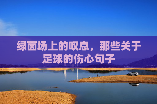 绿茵场上的叹息,那些关于足球的伤心句子
