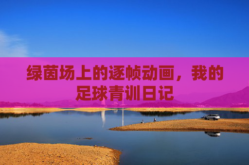 绿茵场上的逐帧动画，我的足球青训日记