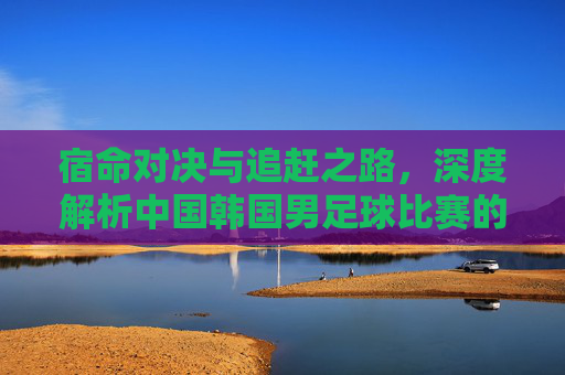 宿命对决与追赶之路,深度解析中国韩国男足球比赛的博弈与差距