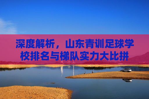 深度解析,山东青训足球学校排名与梯队实力大比拼