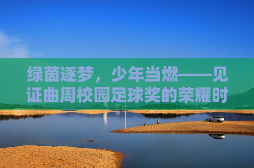 绿茵逐梦,少年当燃——见证曲周校园足球奖的荣耀时刻
