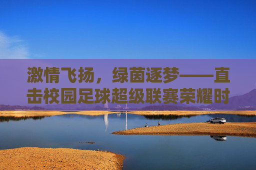 激情飞扬，绿茵逐梦——直击校园足球超级联赛荣耀时刻
