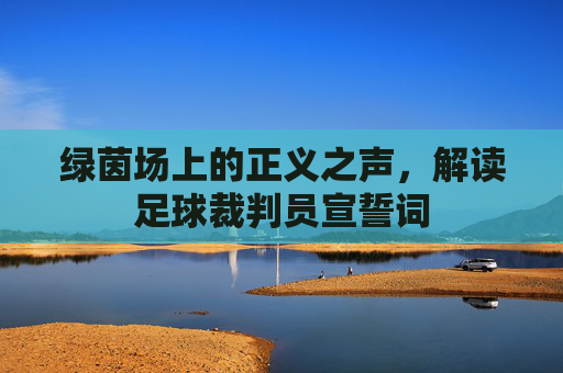绿茵场上的正义之声,解读足球裁判员宣誓词
