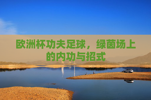 欧洲杯功夫足球，绿茵场上的内功与招式