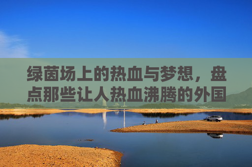 绿茵场上的热血与梦想,盘点那些让人热血沸腾的外国男主踢足球电影
