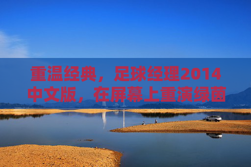 重温经典,足球经理2014中文版,在屏幕上重演绿茵场风云