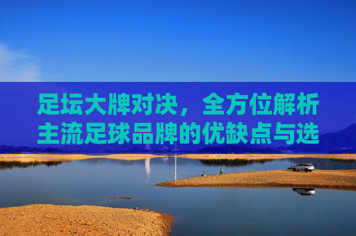 足坛大牌对决,全方位解析主流足球品牌的优缺点与选购指南