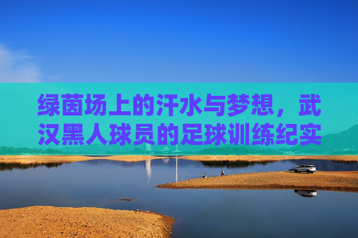 绿茵场上的汗水与梦想，武汉黑人球员的足球训练纪实