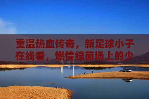 重温热血传奇，新足球小子在线看，燃情绿茵场上的少年梦
