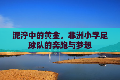 泥泞中的黄金,非洲小学足球队的奔跑与梦想