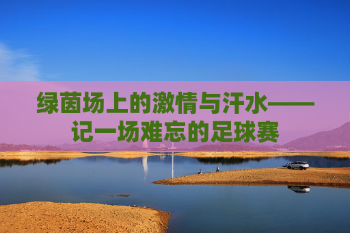 绿茵场上的激情与汗水——记一场难忘的足球赛