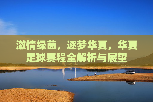 激情绿茵,逐梦华夏,华夏足球赛程全解析与展望