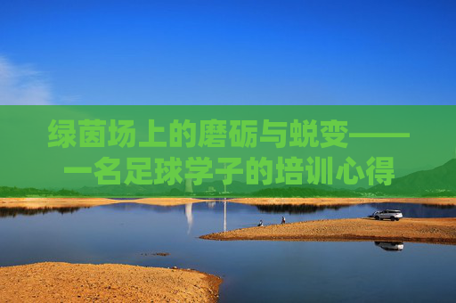 绿茵场上的磨砺与蜕变——一名足球学子的培训心得