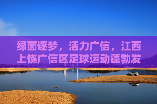 绿茵逐梦,活力广信,江西上饶广信区足球运动蓬勃发展