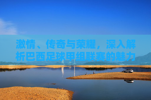 激情、传奇与荣耀,深入解析巴西足球甲组联赛的魅力