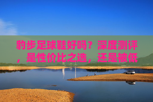 豹步足球鞋好吗？深度测评，是性价比之选，还是被低估的国货之光？