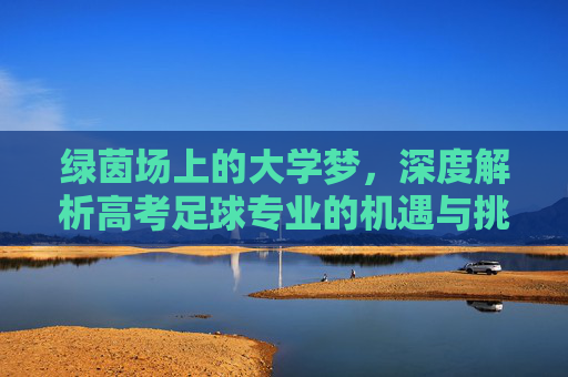 绿茵场上的大学梦，深度解析高考足球专业的机遇与挑战