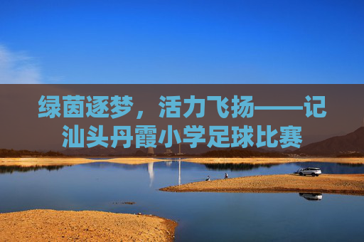 绿茵逐梦，活力飞扬——记汕头丹霞小学足球比赛